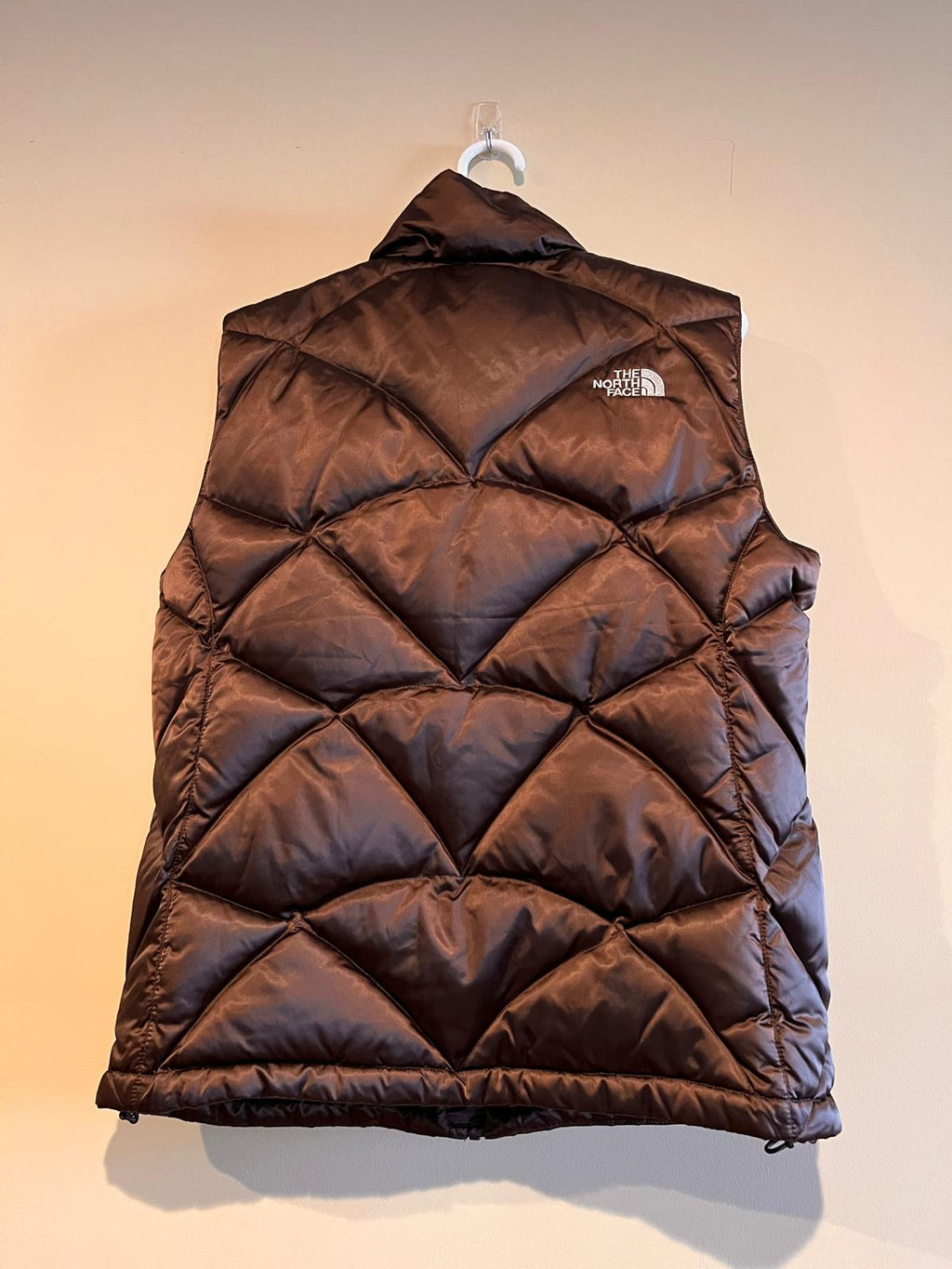 Brown The North Face Vest