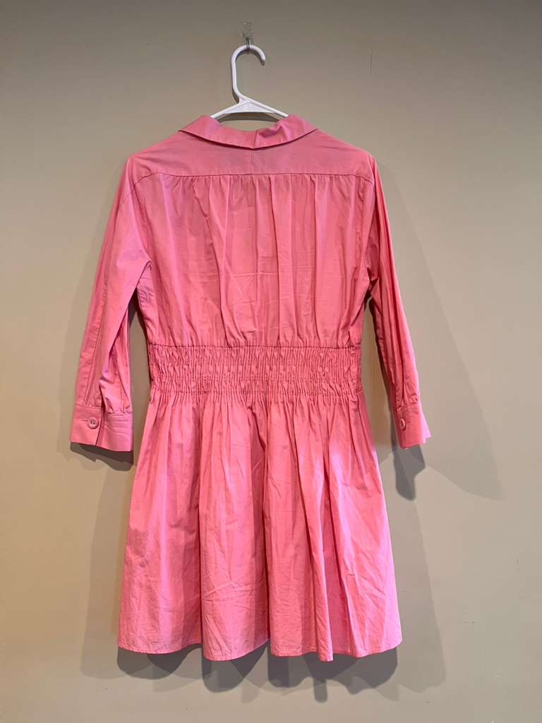 Pink Mini Zara Dress