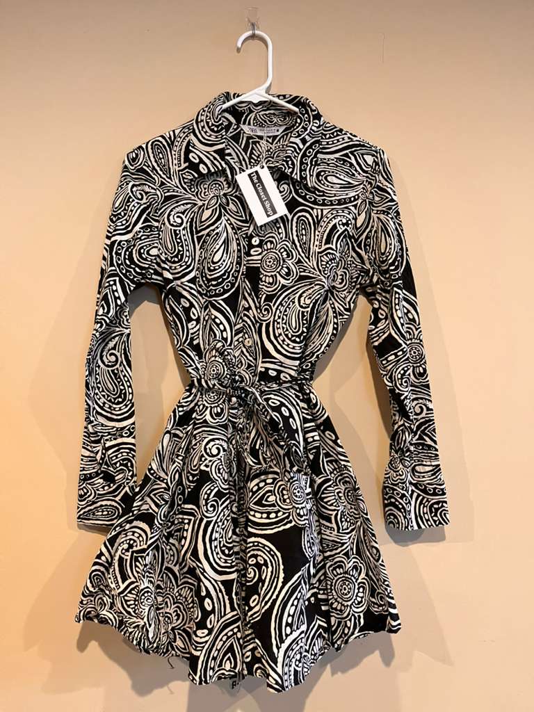 Long Sleeve Mini Zara Dress
